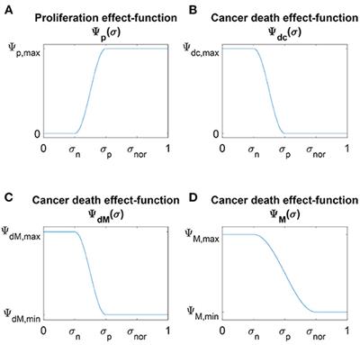 Re-polarisation of Macrophages Within Collective Tumour Cell Migration: A Multiscale Moving Boundary Approach